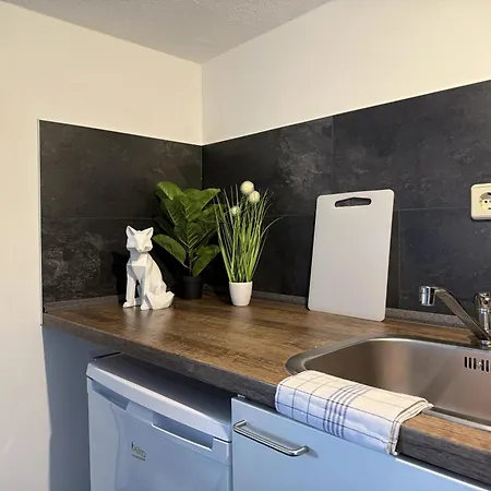 4g Lv 6-zimmer-apartment Hbf Halle (Saale)