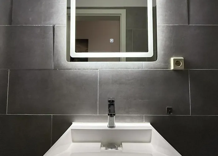 4g Lv 6-zimmer-apartment Hbf Halle (Saale)