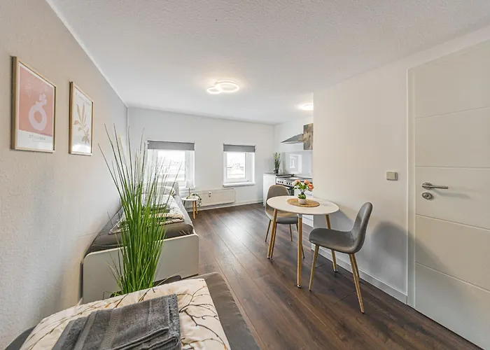 4g Lv 6-zimmer-apartment Hbf Halle (Saale)