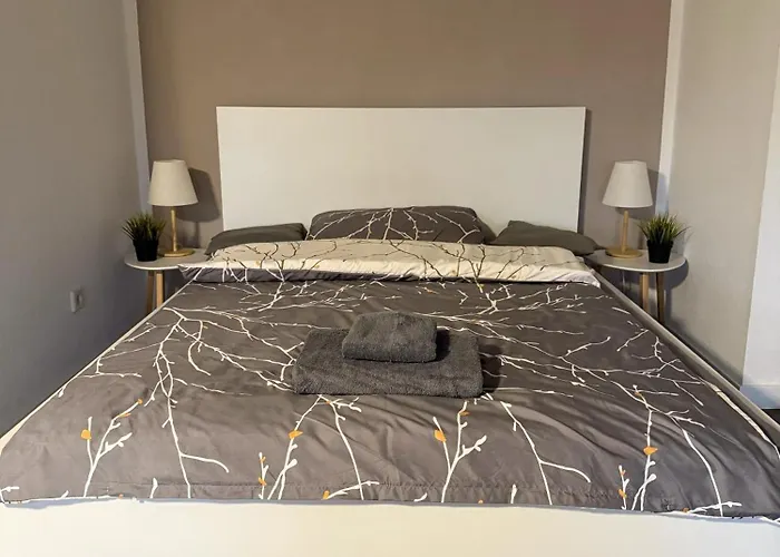 4g Lv 6-zimmer-apartment Hbf * Halle (Saale)