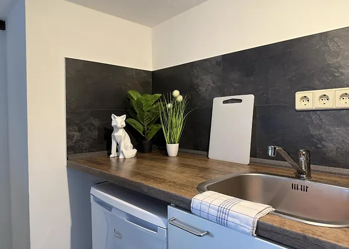 4g Lv 6-zimmer-apartment Hbf Halle (Saale)